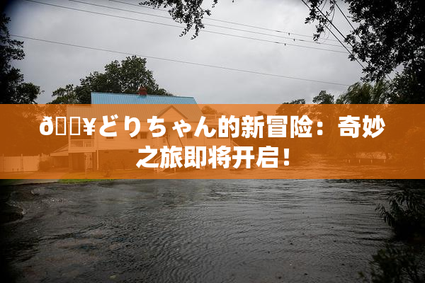 🔥どりちゃん的新冒险：奇妙之旅即将开启！