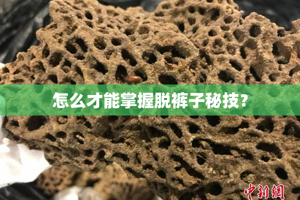 怎么才能掌握脱裤子秘技？