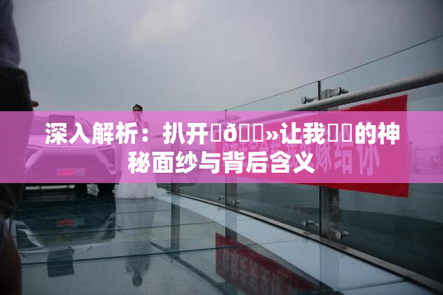 深入解析：扒开‌🐻让我❌‌的神秘面纱与背后含义