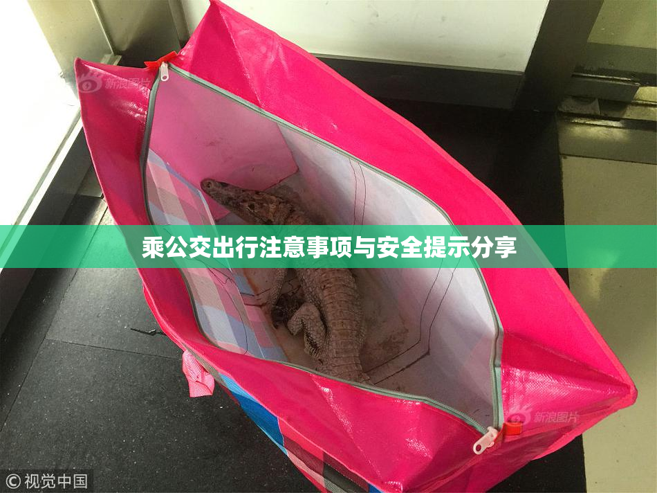 乘公交出行注意事项与安全提示分享