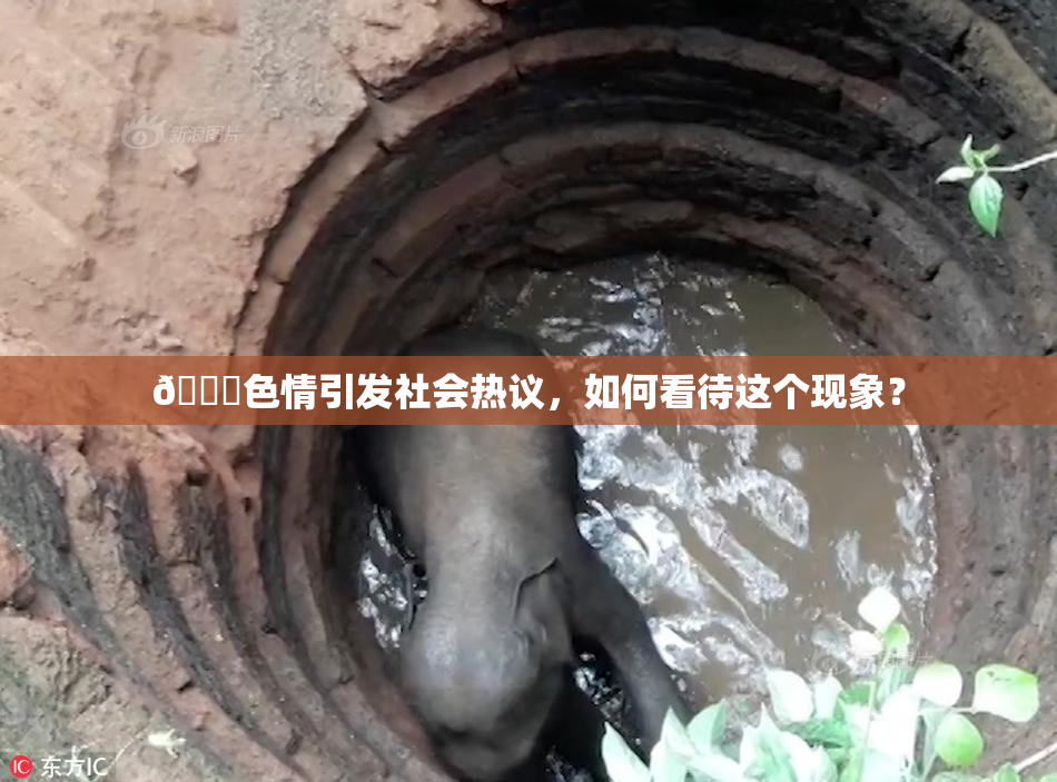 🔞色情引发社会热议，如何看待这个现象？