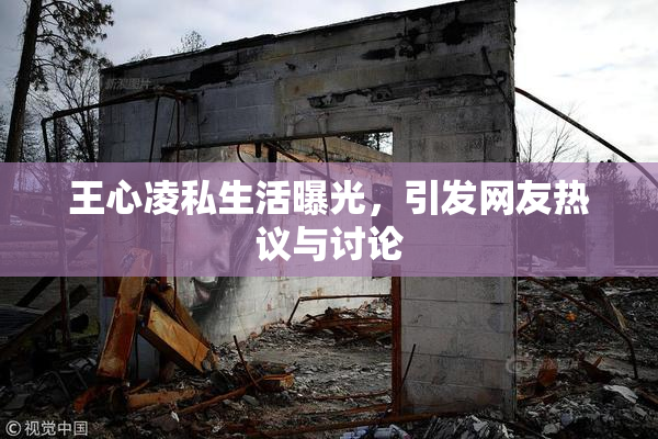 王心凌私生活曝光，引发网友热议与讨论