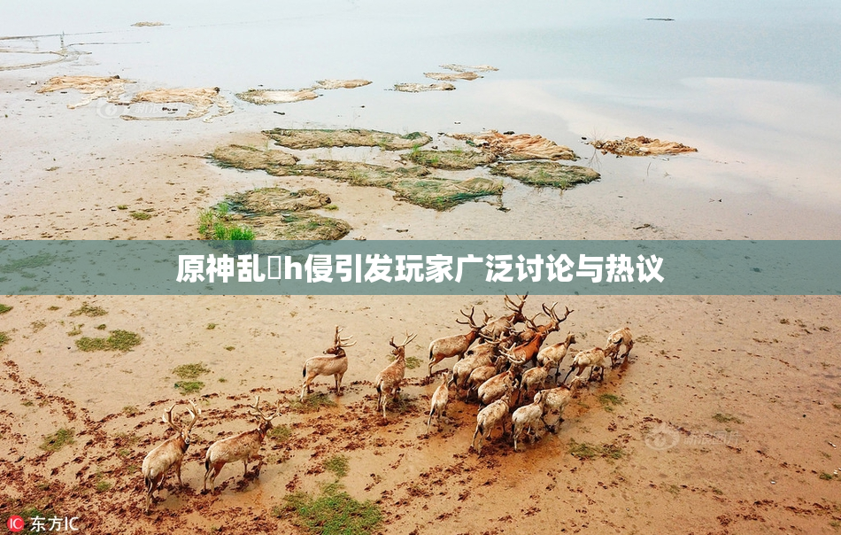 原神乱婬h侵引发玩家广泛讨论与热议