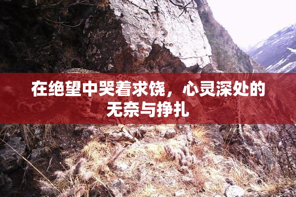 在绝望中哭着求饶，心灵深处的无奈与挣扎