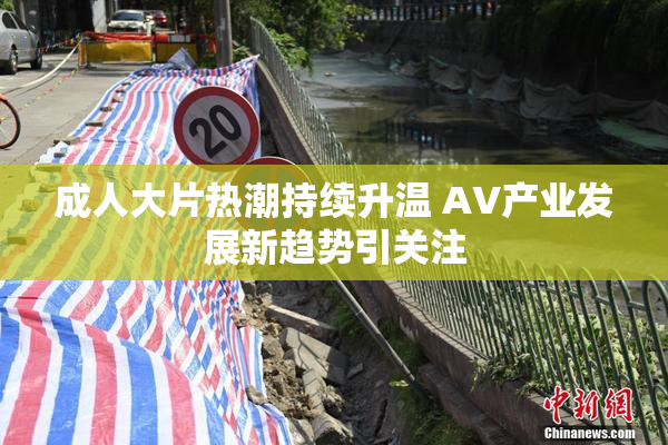 成人大片热潮持续升温 AV产业发展新趋势引关注