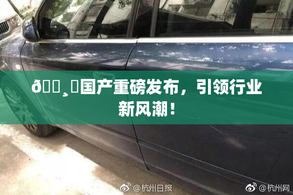 🌸‌国产重磅发布，引领行业新风潮！