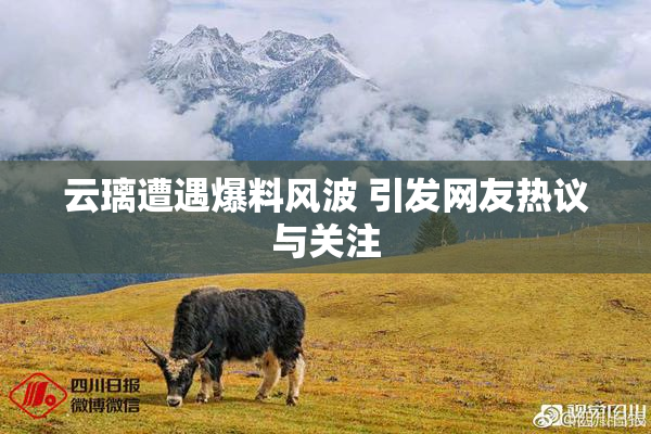 云璃遭遇爆料风波 引发网友热议与关注