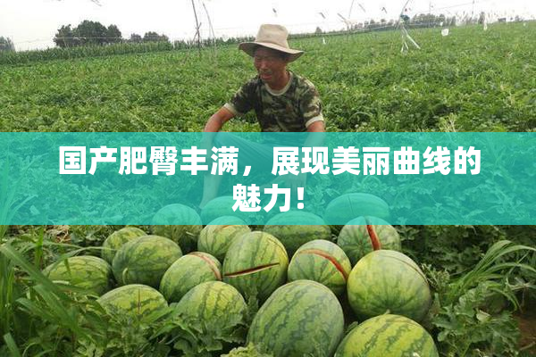 国产肥臀丰满，展现美丽曲线的魅力！