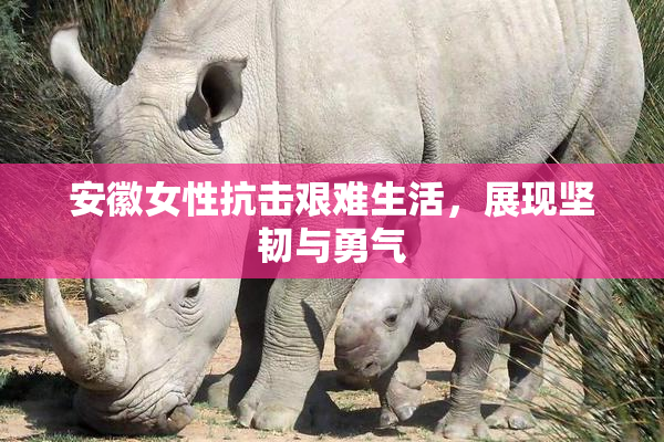 安徽女性抗击艰难生活，展现坚韧与勇气