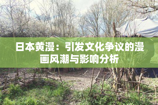 日本黄漫：引发文化争议的漫画风潮与影响分析