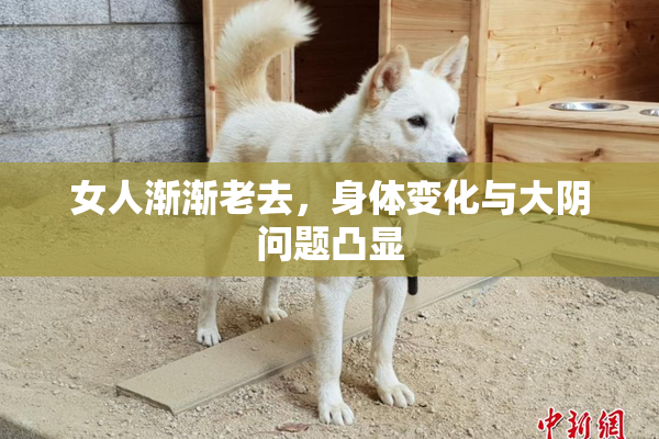 女人渐渐老去，身体变化与大阴问题凸显