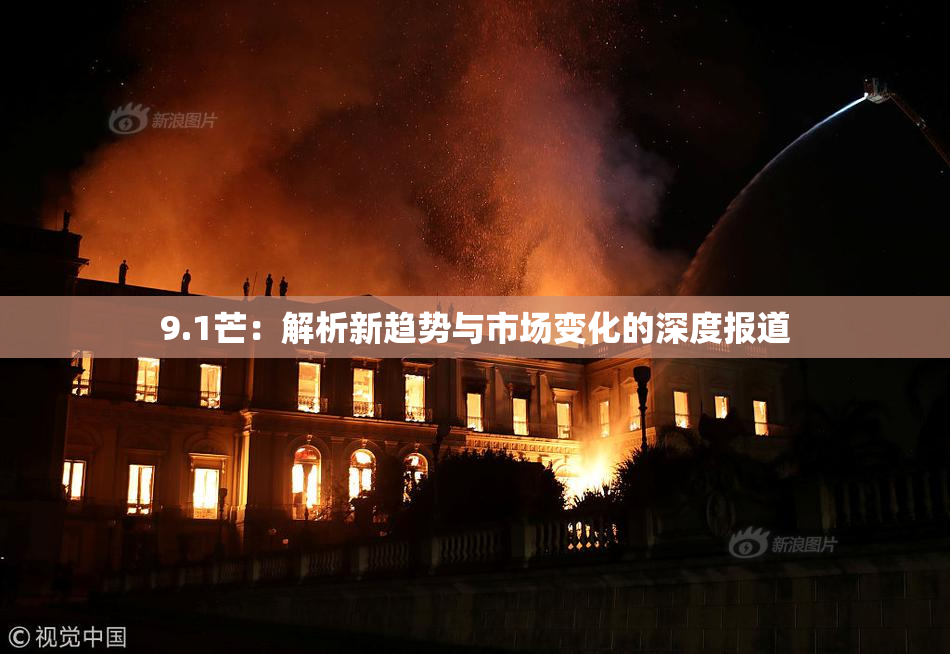 9.1芒：解析新趋势与市场变化的深度报道