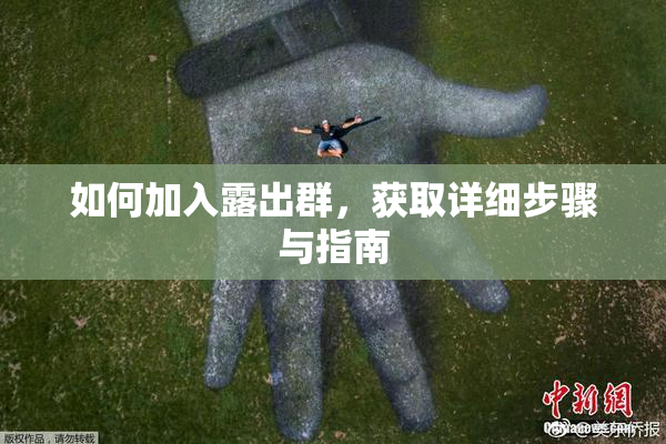 如何加入露出群，获取详细步骤与指南