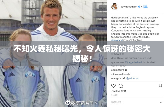 不知火舞私秘曝光，令人惊讶的秘密大揭秘！