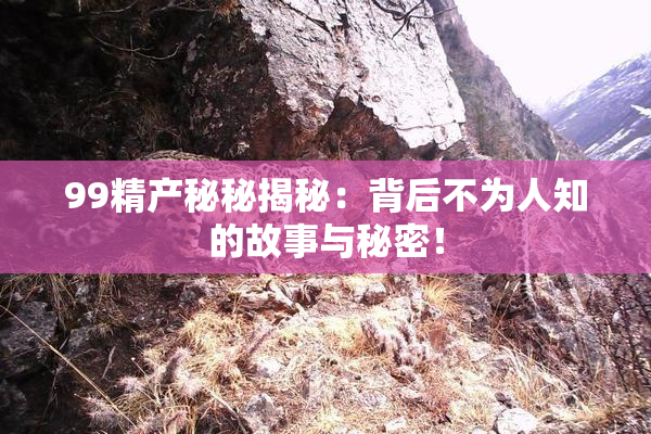 99精产秘秘揭秘：背后不为人知的故事与秘密！