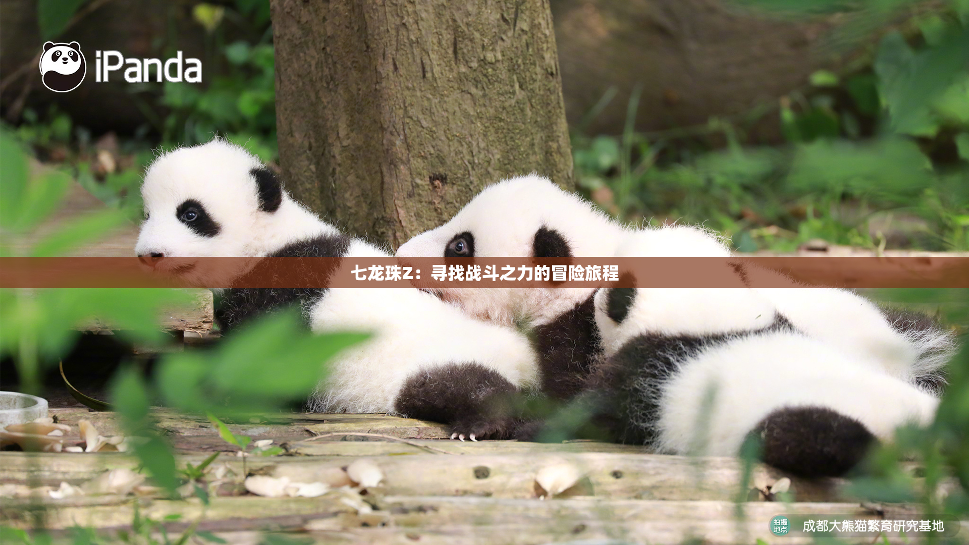 七龙珠Z：寻找战斗之力的冒险旅程