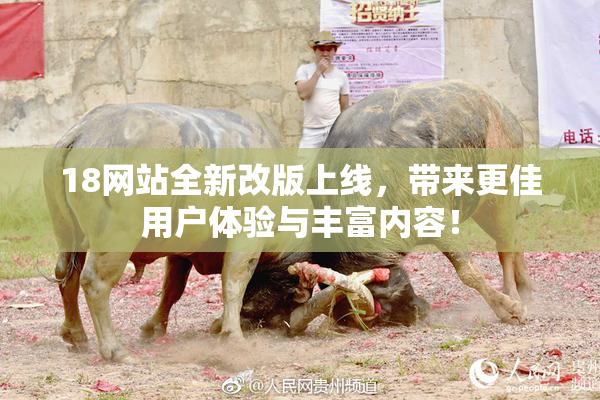 18网站全新改版上线，带来更佳用户体验与丰富内容！