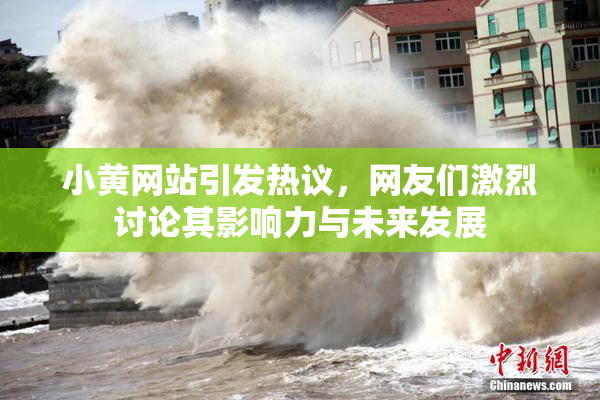 小黄网站引发热议，网友们激烈讨论其影响力与未来发展