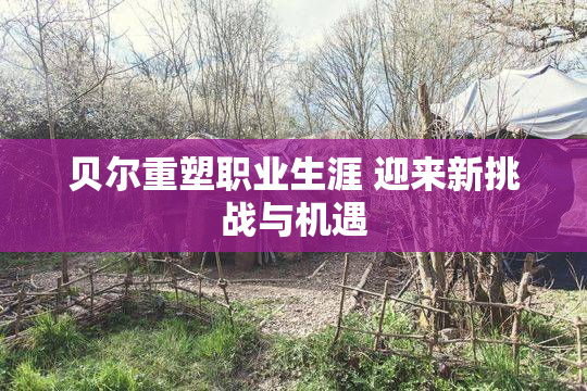 贝尔重塑职业生涯 迎来新挑战与机遇