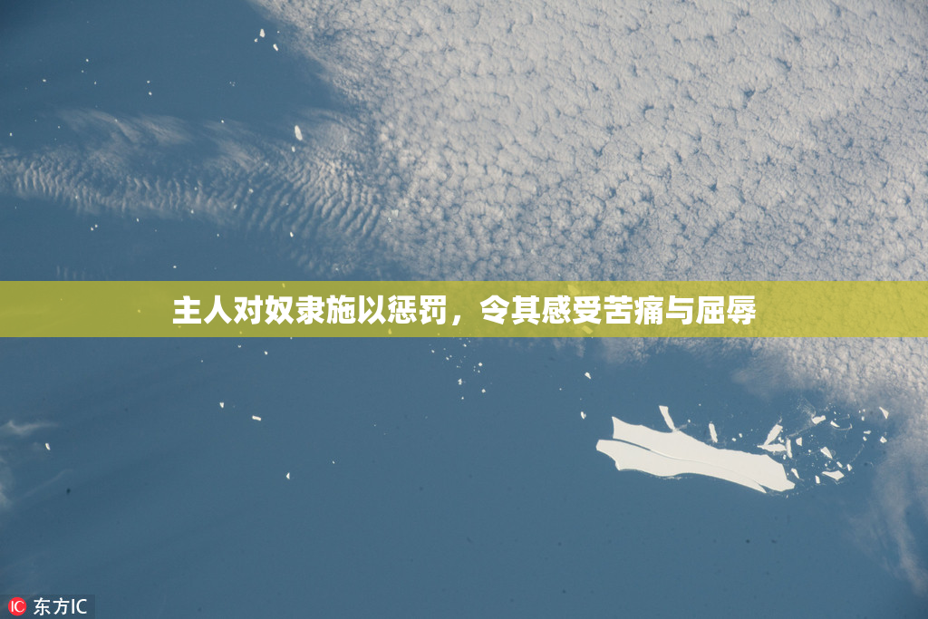 主人对奴隶施以惩罚，令其感受苦痛与屈辱