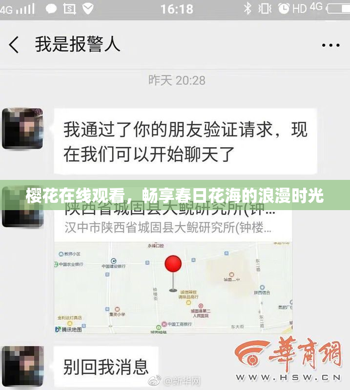 樱花在线观看，畅享春日花海的浪漫时光
