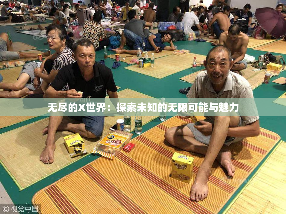 无尽的X世界：探索未知的无限可能与魅力