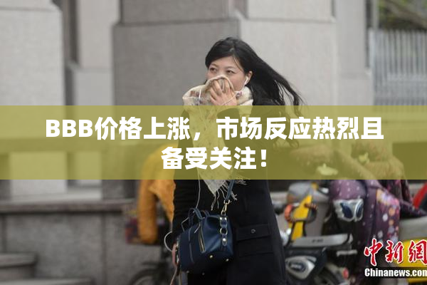 BBB价格上涨，市场反应热烈且备受关注！