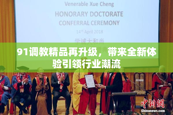 91调教精品再升级，带来全新体验引领行业潮流