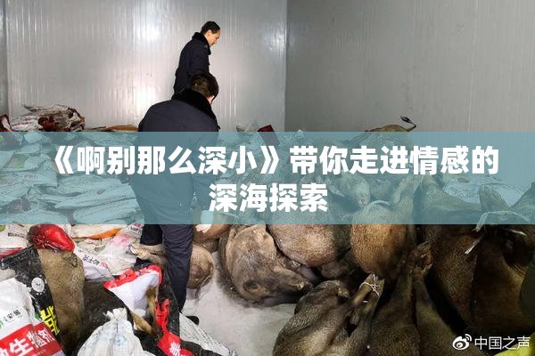 《啊别那么深小》带你走进情感的深海探索