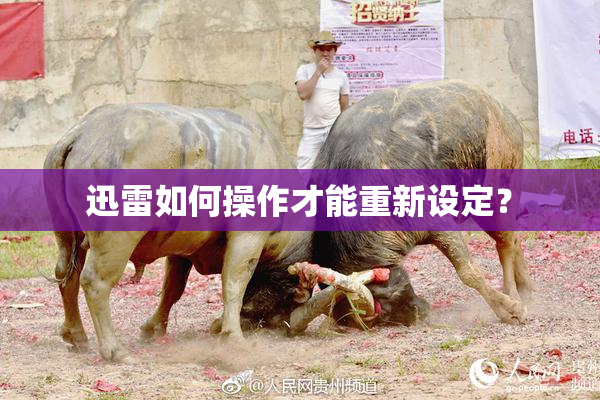 迅雷如何操作才能重新设定？