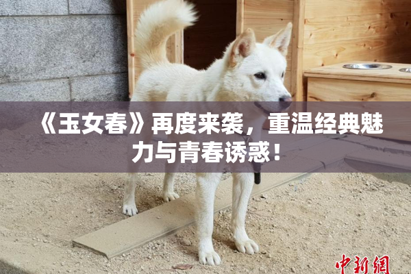 《玉女春》再度来袭，重温经典魅力与青春诱惑！