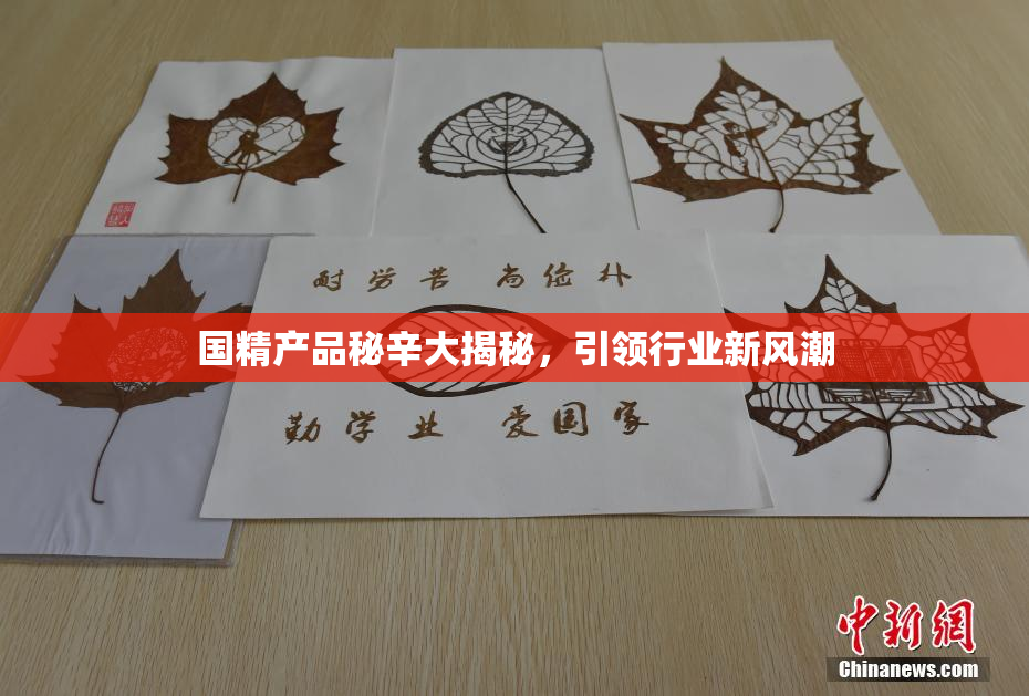 国精产品秘辛大揭秘，引领行业新风潮