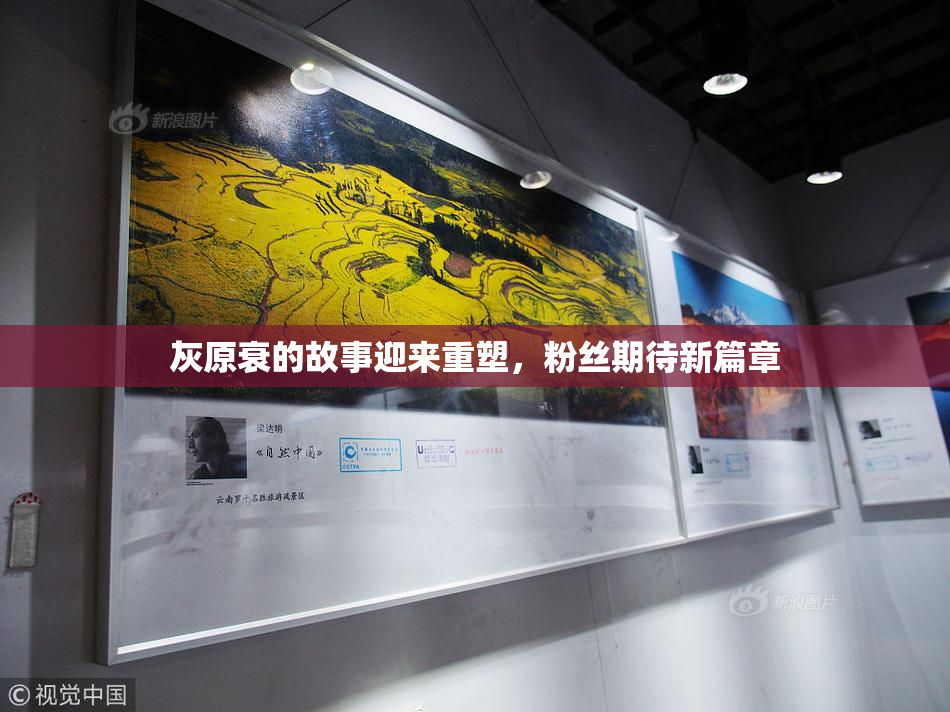 灰原衰的故事迎来重塑，粉丝期待新篇章