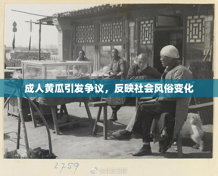 成人黄瓜引发争议，反映社会风俗变化