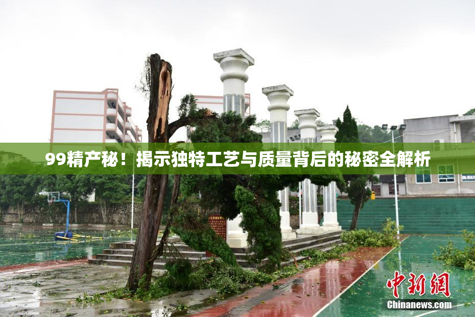 99精产秘！揭示独特工艺与质量背后的秘密全解析