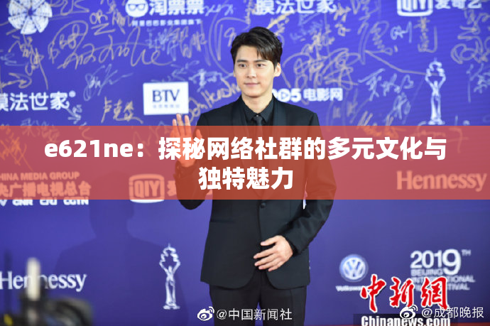 e621ne：探秘网络社群的多元文化与独特魅力