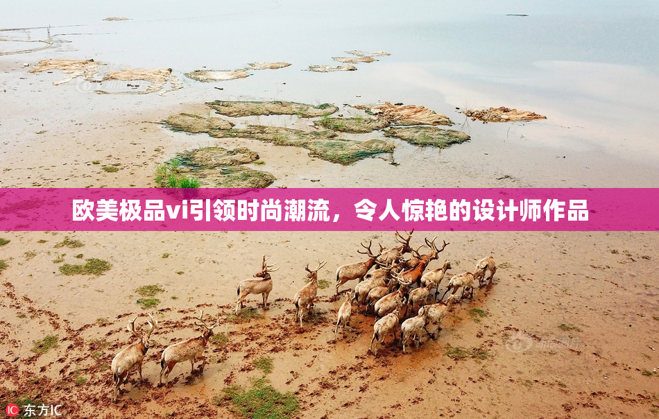 欧美极品vi引领时尚潮流，令人惊艳的设计师作品