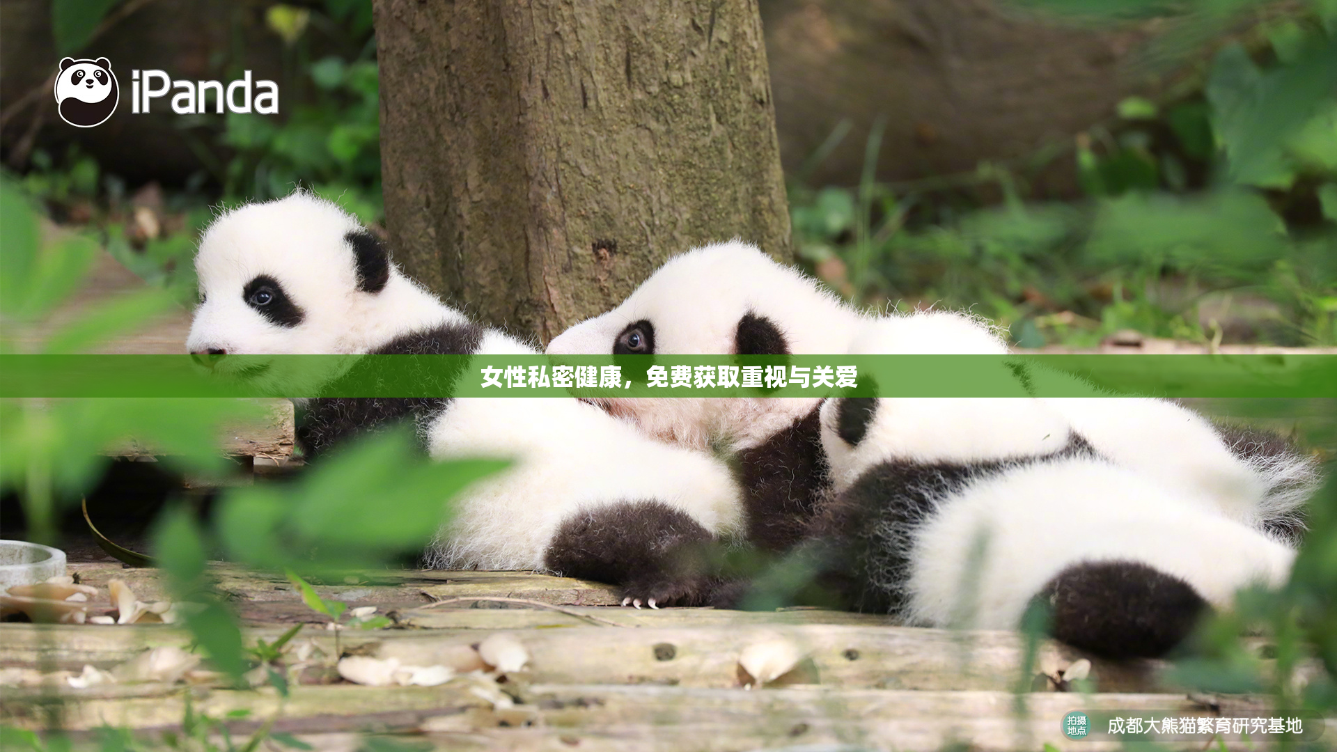女性私密健康，免费获取重视与关爱