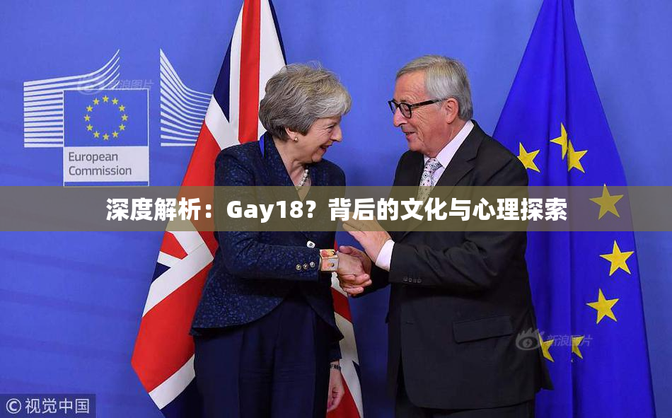 深度解析：Gay18？背后的文化与心理探索