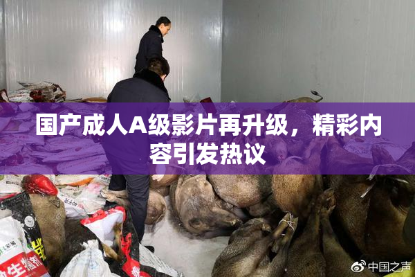 国产成人A级影片再升级，精彩内容引发热议