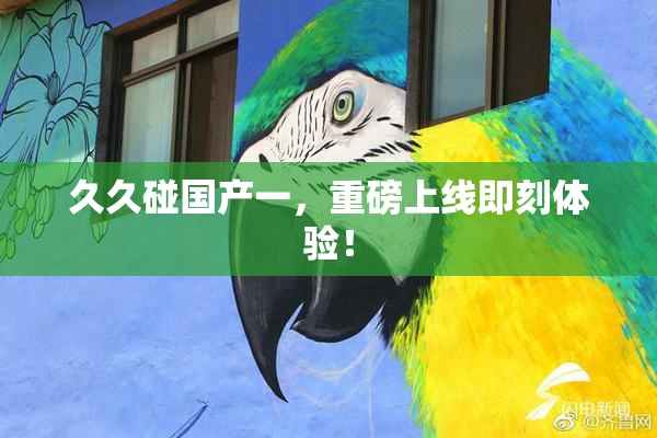 久久碰国产一，重磅上线即刻体验！