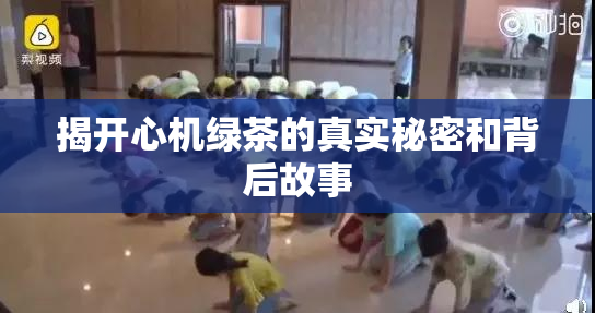 揭开心机绿茶的真实秘密和背后故事