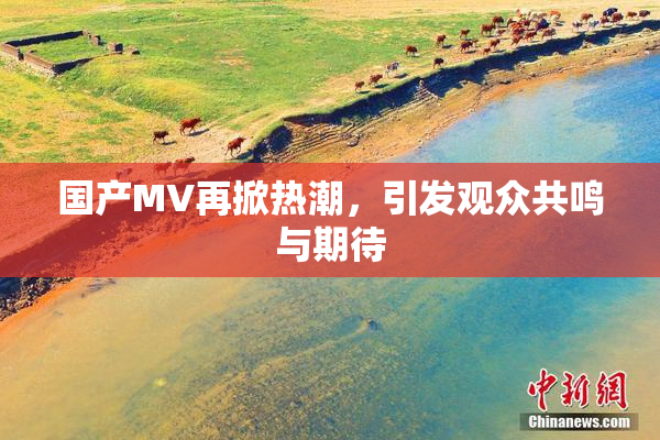 国产MV再掀热潮，引发观众共鸣与期待