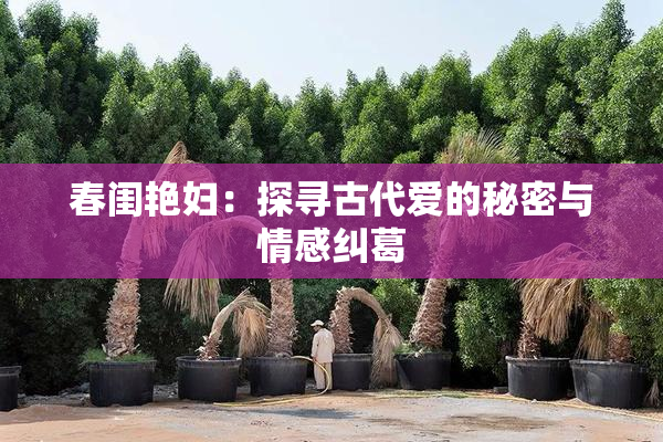春闺艳妇：探寻古代爱的秘密与情感纠葛