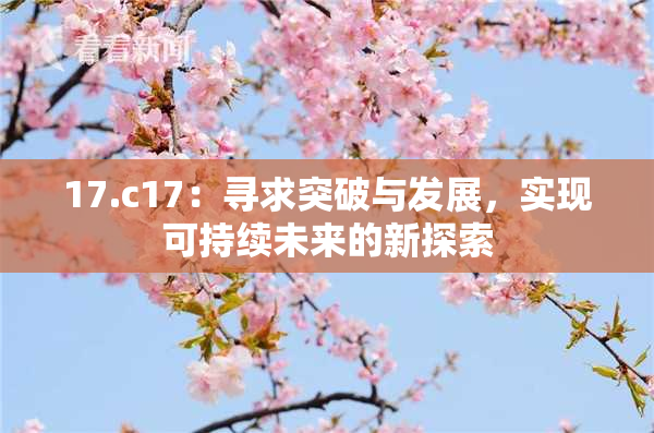 17.c17：寻求突破与发展，实现可持续未来的新探索