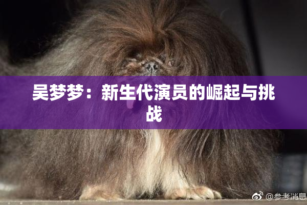 吴梦梦：新生代演员的崛起与挑战