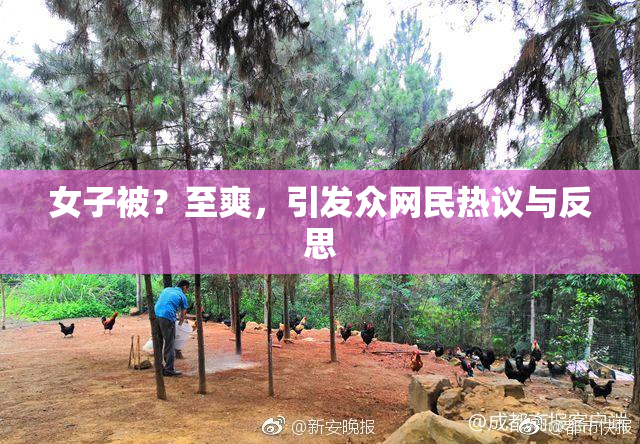 女子被？至爽，引发众网民热议与反思