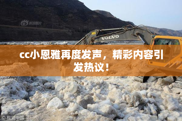 cc小恩雅再度发声，精彩内容引发热议！