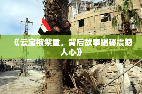 《云宝被紫重，背后故事揭秘震撼人心》