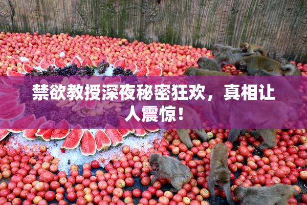 禁欲教授深夜秘密狂欢，真相让人震惊！